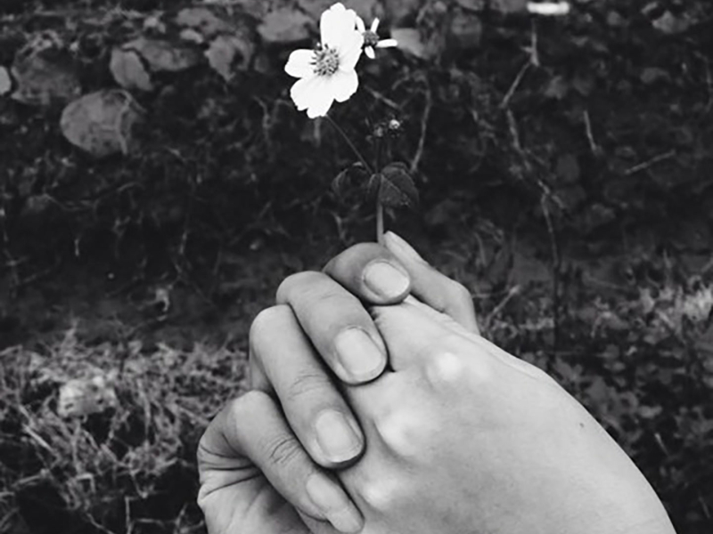 Hát cho đời và hát cho em (Single)