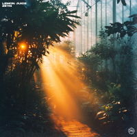 Lemon Juice (Single)