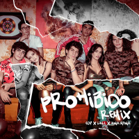 Prohibido (Remix) (Single)