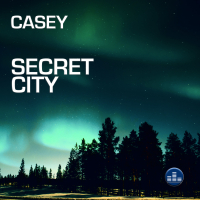 Secret City