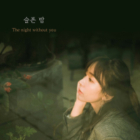 The night without you (Single)