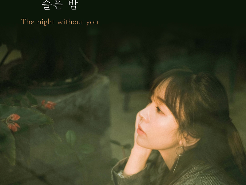 The night without you (Single)