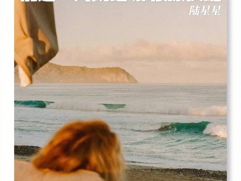 前途一片阴暗 那很凉快啦 (Single)