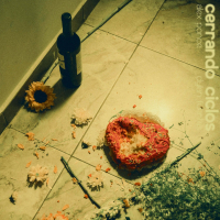 cerrando ciclos - remix (Single)