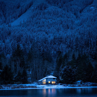 winter blues (Single)