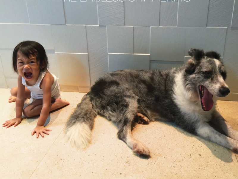 Dying Giants (Single)