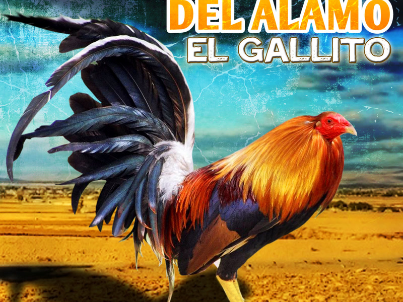 El Gallito