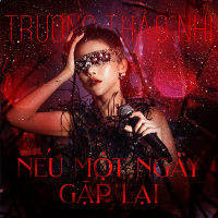 Nếu Một Ngày Gặp Lại (Single)