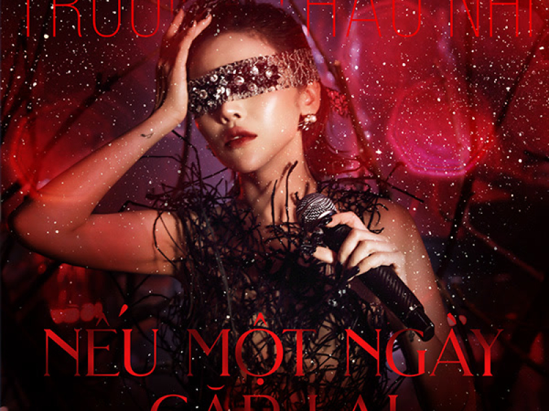 Nếu Một Ngày Gặp Lại (Single)