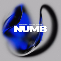 Numb (Single)
