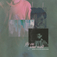 Fly on Your Wall (Single)