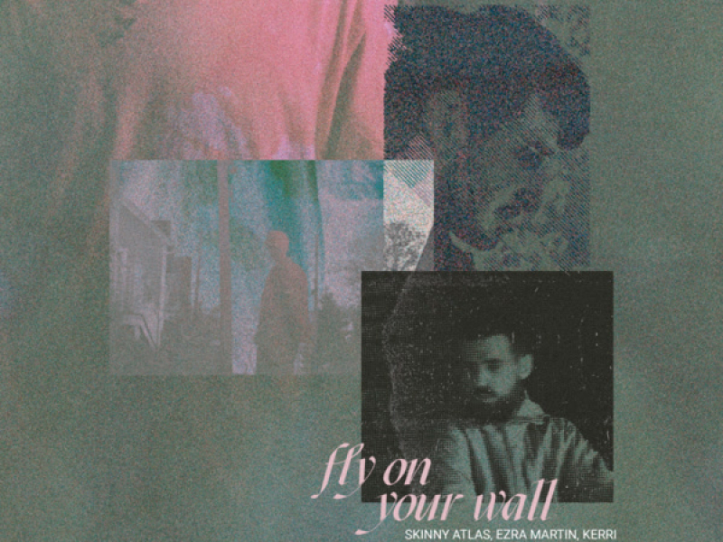 Fly on Your Wall (Single)