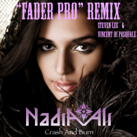 Crash And Burn (Steven Lee & Vincent di Pasquale 