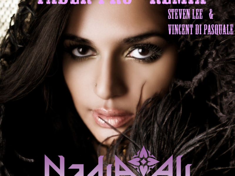 Crash And Burn (Steven Lee & Vincent di Pasquale 