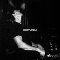 Indestructible (Single)