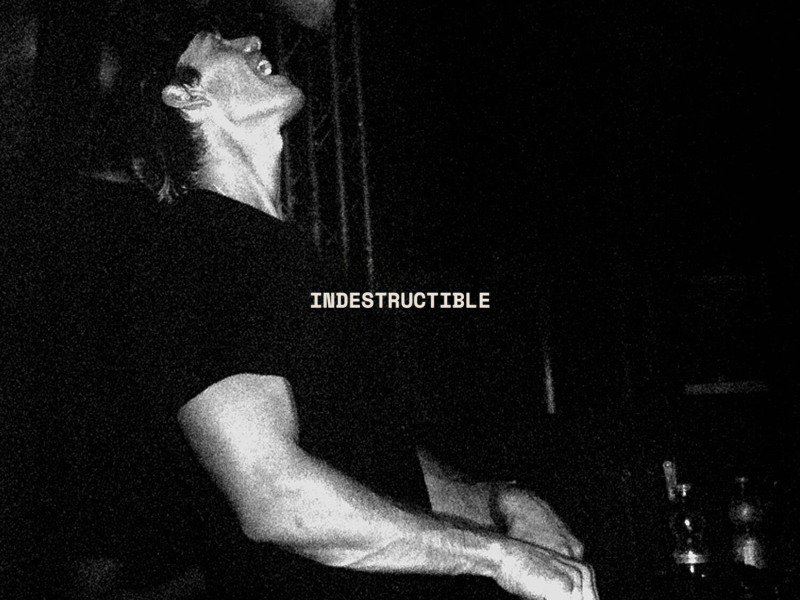 Indestructible (Single)