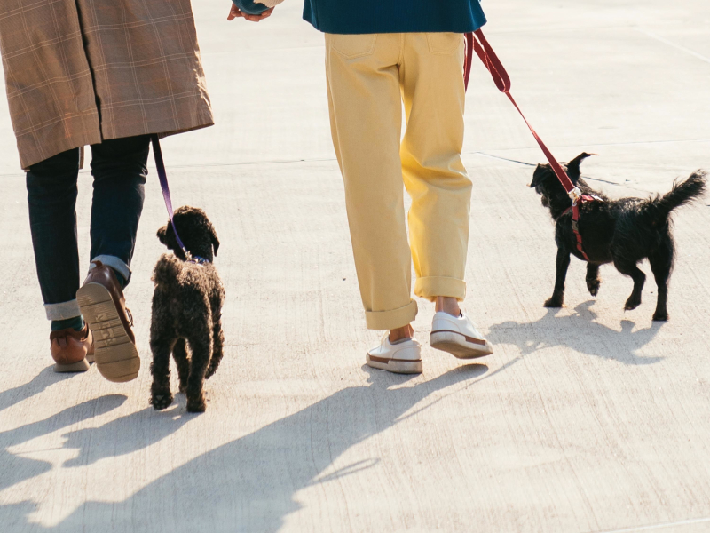 An Ordinary Day (Single)