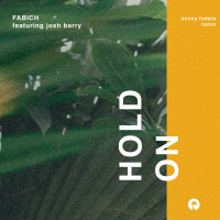 Hold On (Sonny Fodera Remix) (Single)