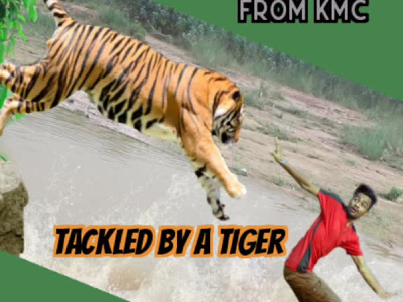 Tackled by a Tiger (Single)