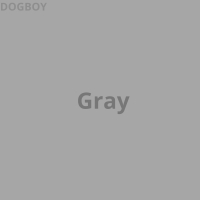 GRAY (Single)