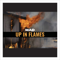 Up in Flames (Single)