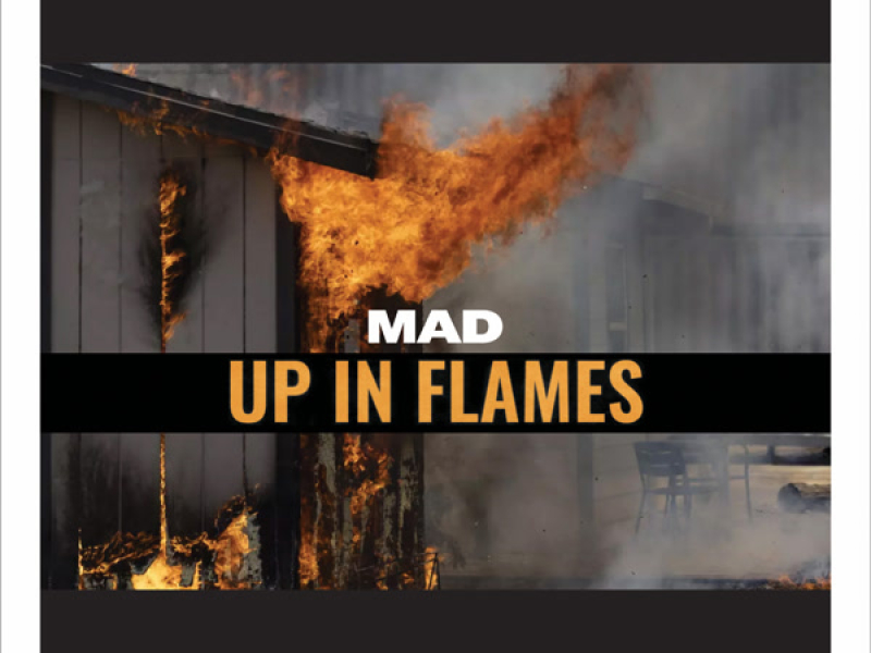 Up in Flames (Single)