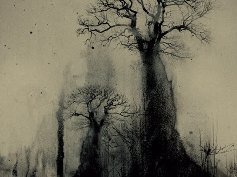 Trees (Butch Remixes) (EP)