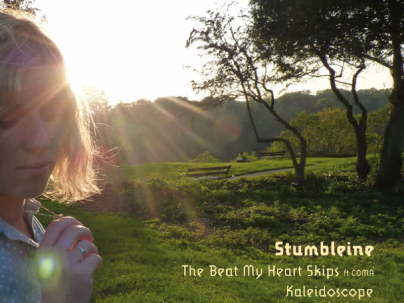 The Beat My Heart Skips - Single