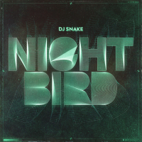 Nightbird (Single)