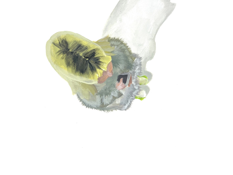 even if fall into a fail (Single)