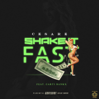 Shake It Fast (Single)