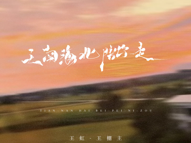 天南海北陪你走 (DJ沈乐版) (Single)