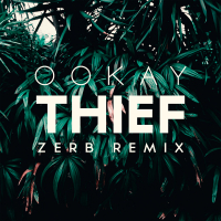 Thief (Zerb Remix) (Single)