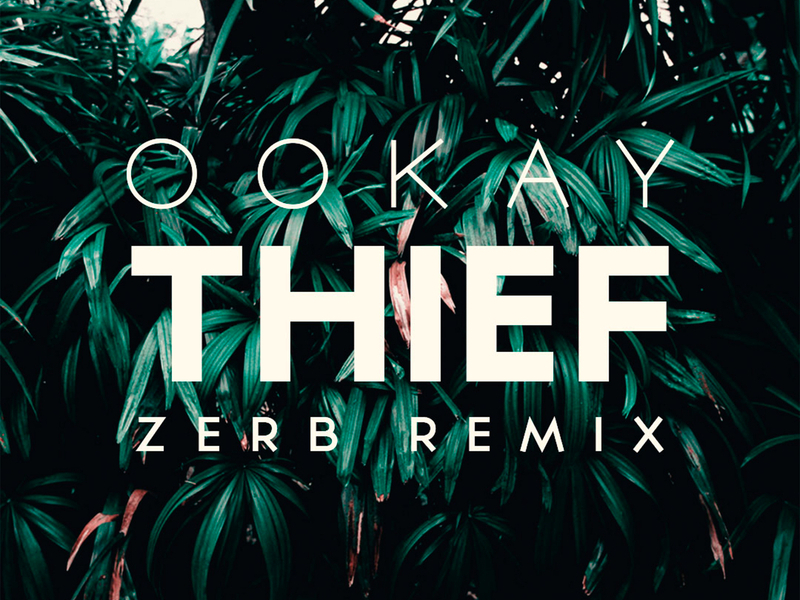 Thief (Zerb Remix) (Single)