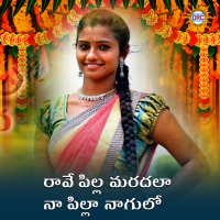 Rave Pilla Mardala Na Pilla Nagulo (Single)