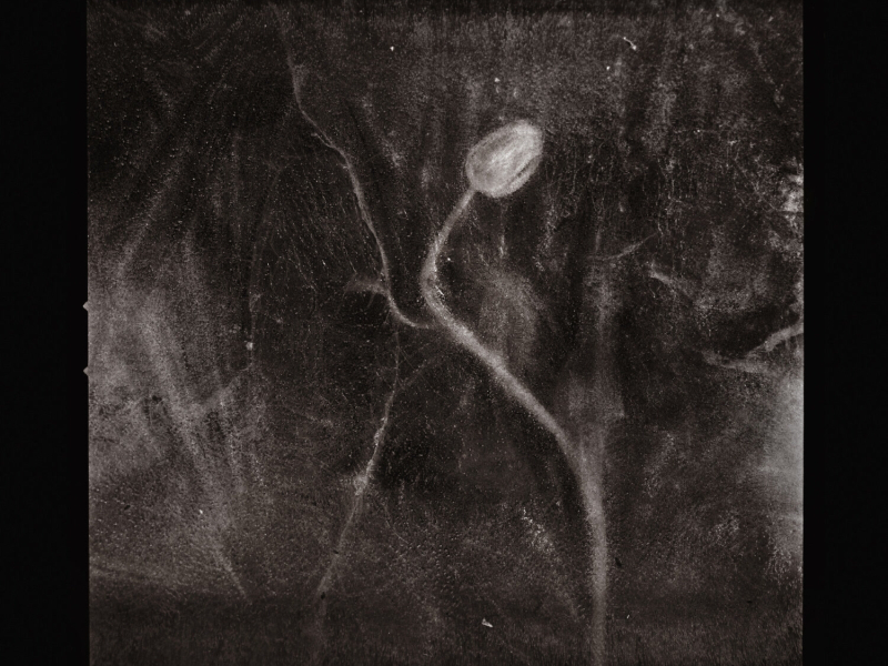 Between Hotels and Time