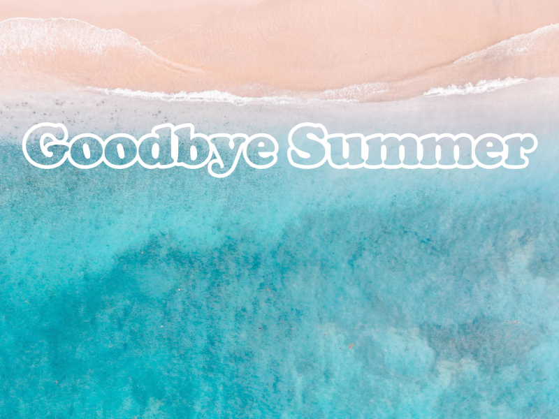 Goodbye Summer (Single)