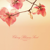 Cherry Blossom Scent (Single)