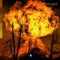 Doing Damage (Single)