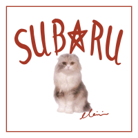 subaru (Single)