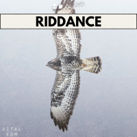 Riddance (Single)