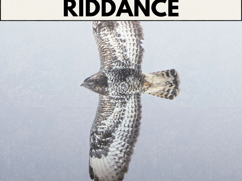 Riddance (Single)