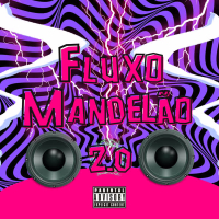 Fluxo Mandelão 2.0 (EP)