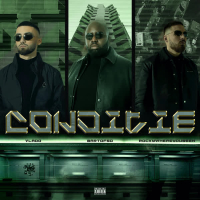 Conditie (Single)