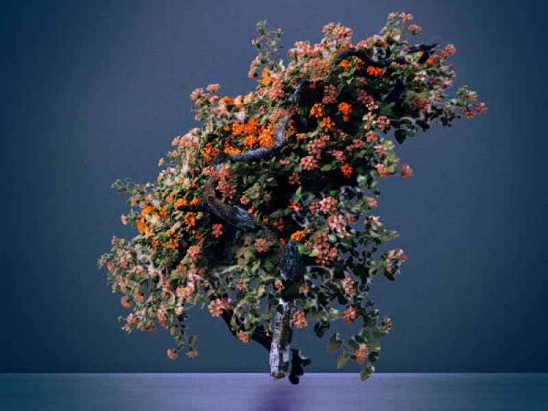 Ride or Die (Feat. EOM SEAN) (Single)