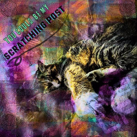 You Could Be My Scratching Post (feat. Greg Tomanelli) (Single)