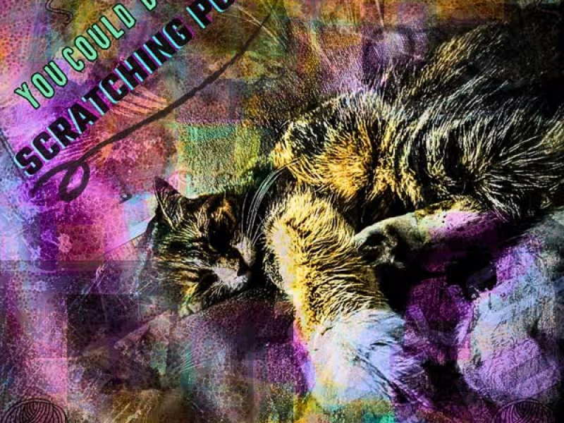 You Could Be My Scratching Post (feat. Greg Tomanelli) (Single)