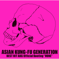 BEST HIT AKG Official Bootleg 