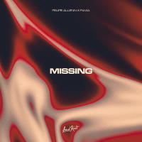 Missing (Single)