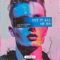 Put It All On Me (Single)